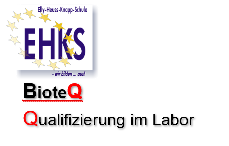 EHKS Neumünster Ausbildung zum/r biologisch technischen Assistenten/in